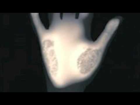 Council groove  - Fabio Giannelli