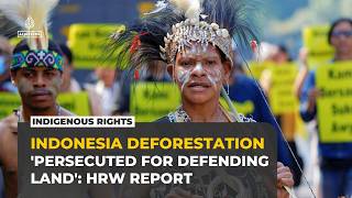 Human Rights Watch documents Indonesia charging environmental activists under criminal code provisions