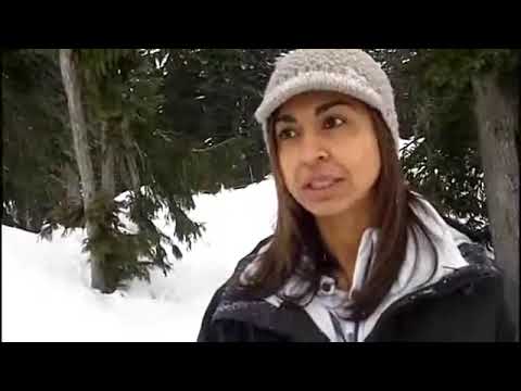 Hitting The Ski Slopes Safely