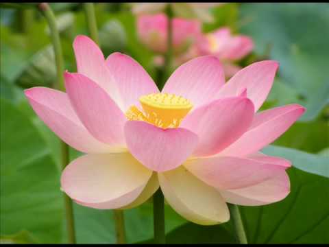 Tropaing Peay (Windy Pond) [Incomplete]