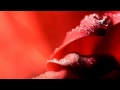 Kourosh Dini - Dew (Sun and Earth)