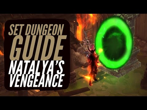 Diablo 3 - Demon Hunter - Natalya's Vengeance - Set Dungeon Guide