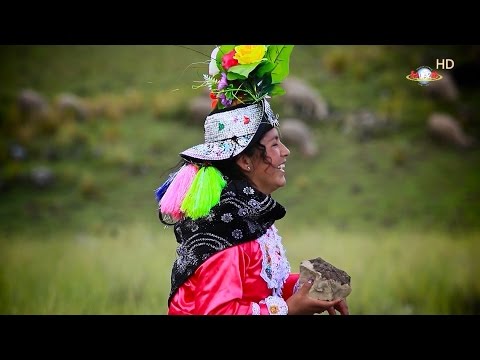 Linda Paisanita - Pumita Cazador