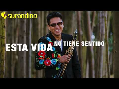 CAMINANDO VOY (Karaoke) - Surandino
