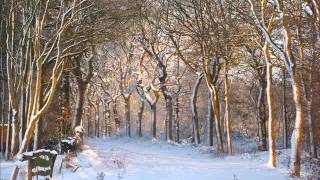 God rest ye merry Gentleman - T Bone Burnett