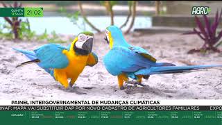 Miniatura do vídeo