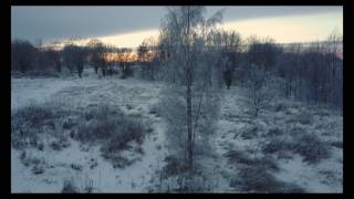 Outdoors in Sunday evening :)