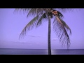"Visionary Temples" from the album HEALING DREAMS by Dean Evenson
