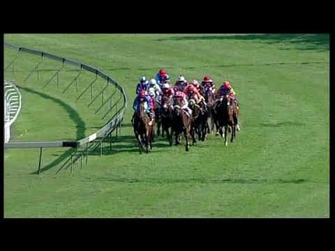 20190727 Greyville Express clip Race 4 won by AFRICAN WARRIOR
