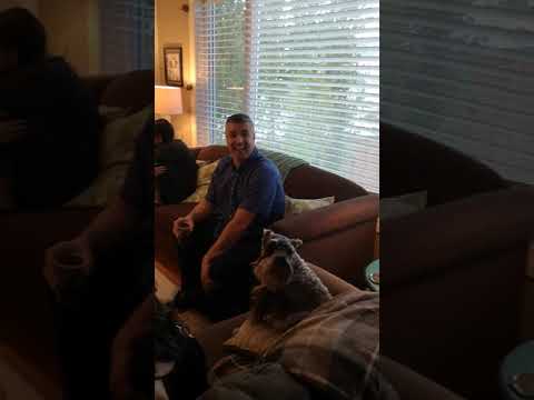 Promotional video thumbnail 1 for Imagine Live Music