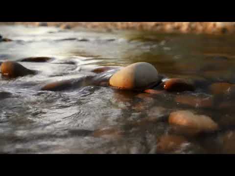 Pause With Me | 15-Minutes of Calm with Flowing Water