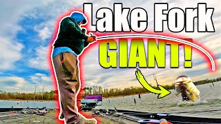 THIS is why you Fish Lake Fork! (TROPHY Catch)