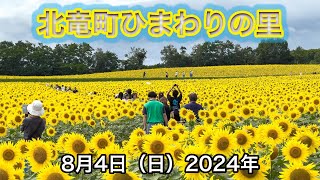 Ngày 4 tháng 8 (Chủ nhật) 2024 Tình trạng nở hoa của Làng Hoa Hướng Dương: Một ngôi làng hoa hướng dương xinh đẹp với những bài hát vui tươi vang vọng khắp nơi - YouTube