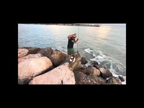 Villa del Carmen fishing club  delfines y David (beco)  las cojinúa 🤣🤣