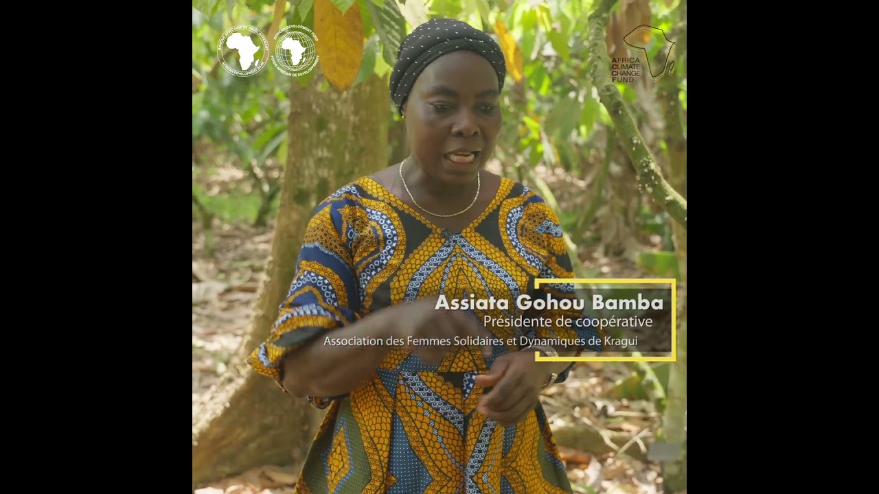 Une culture du cacao adaptée au changement climatique en Côte d’Ivoire