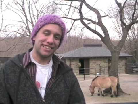 Weekend Stars Goes Zoooooey!