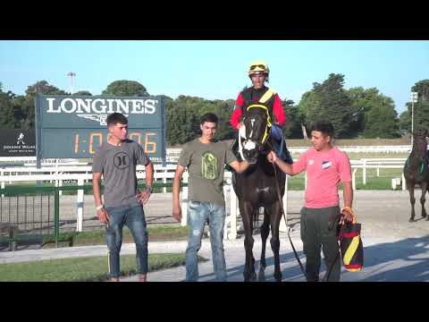 220116 c07 J Serrato/ RAINHA PIONEIRA (BRZ)