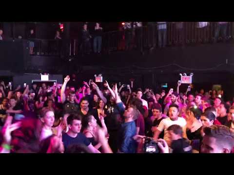 Fox Stevenson in a Miss You mosh pit