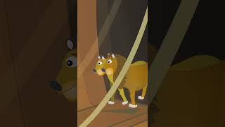 Noahs Ark - Bible Shorts For Kids