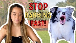 How to Teach Your Dog to STOP Barking Indoors WITHOUT Punishment (Delivery People, Animals Outside!)