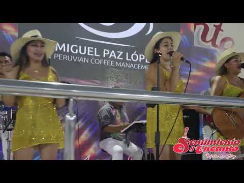 MIX CORAZON ENTRISTECIDO - SENTIMIENTO Y ENCANTO 2023