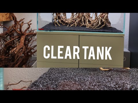 Watch Video on YouTube