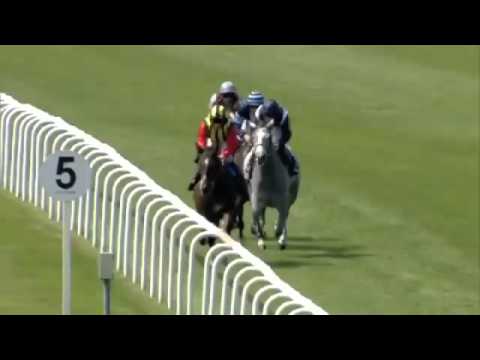 Watch Elusive Kate (Elusive Quality) win the G1 Falmouth Stakes at Newmarket, UK, 2013