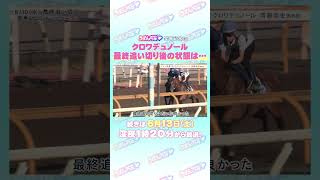 宝塚記念 GⅠ トレセン直撃取材！ #競馬 #宝塚記念 #クロワデュノール #斉藤崇史 調教師