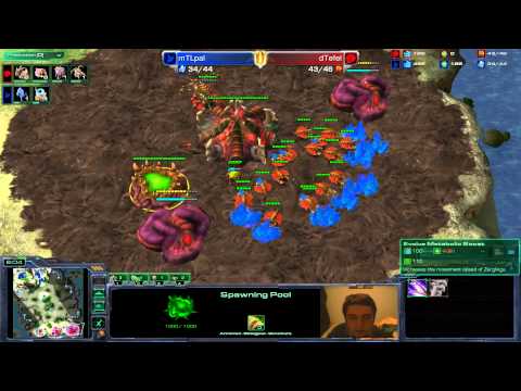 [GO4SC2 #250] Pal VS Tefel Semi-Final Game 1 Part 1