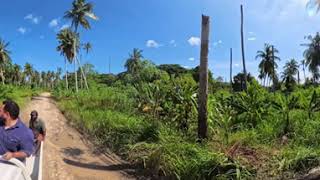 Dylup Plantation Drive – Assessing Bogia Coconut Syndrome 