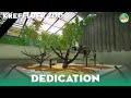 Ape House Krefelder Zoo Affentropenhous Dedication Video Planet Zoo