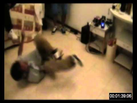 Hip-Hop Akademia Bułgaria 2011 - Noc Jedi