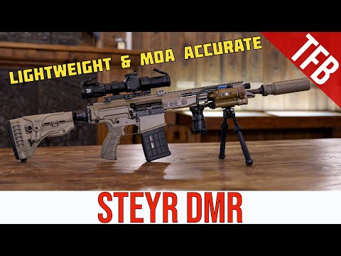 NEW Steyr DMR: Sniper Rifle Accuracy from a Battle Rifle