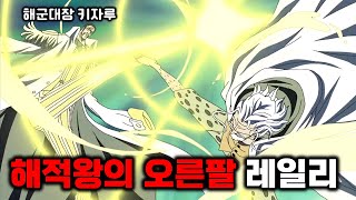 원피스 해적왕의 오른팔 '명왕 실버즈 레일리' 다시보기