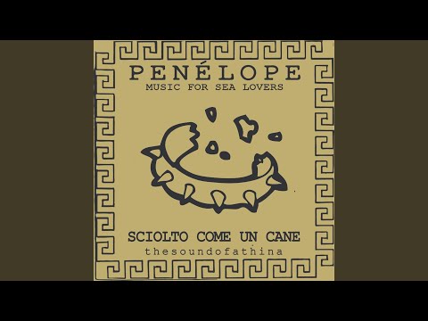 Sciolto come un cane