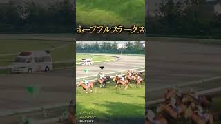 1993年 ホープフルステークス【スカルガリバー】 | #kunohen (#Twitch)