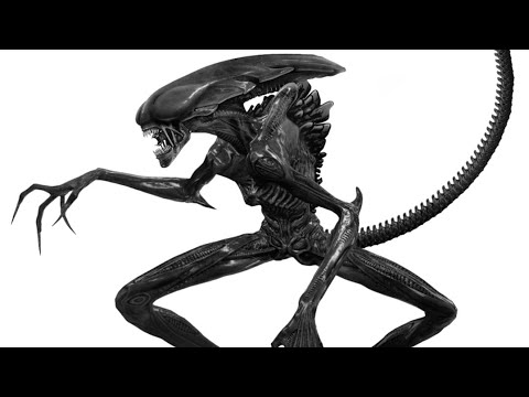 Alien-Sapien VS. Earth Angel Xenomorph