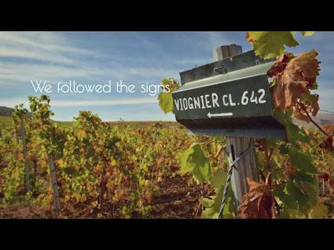 Happy New Year - Tikveš 2019