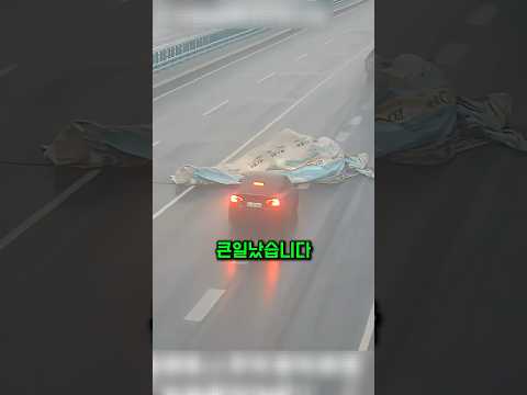 시속 100km 도로 위 천막, 모두가 피할 때 그가 한 선택