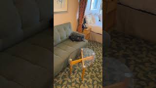 Liberty of the seas room 9516 - spacious ocean view ￼￼