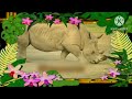 The Amazing World 2006 Rhinoceros