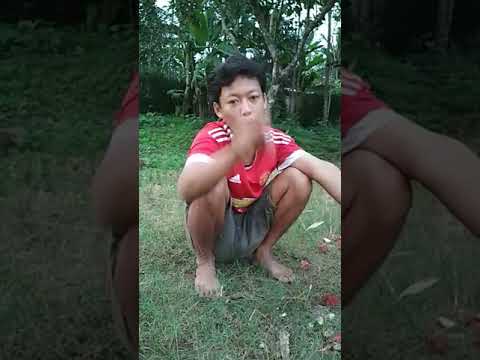Potensi teh meningkat Rahasia potensi laki-laki
