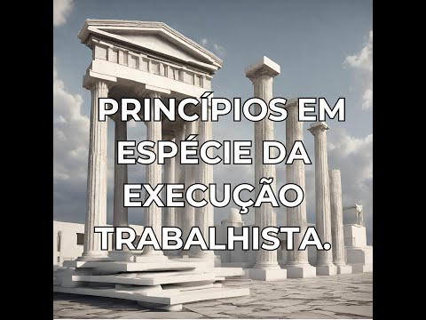 Execução no Processo do Trabalho - PRINCÍPIOS EM ESPÉCIE DA EXECUÇÃO TRABALHISTA