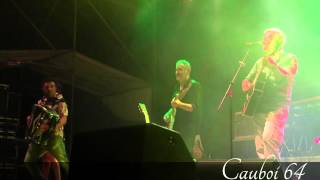 Davide Van De Sfroos - La balera @Genova