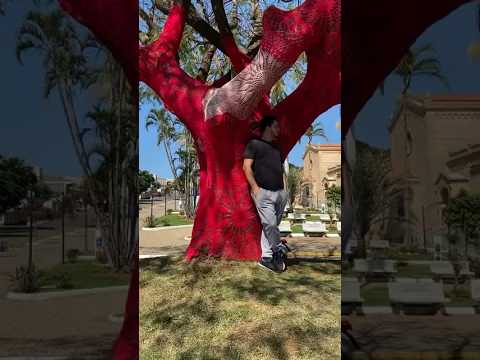 12 Cidades Mineiras que parecem cenário de novela das 6