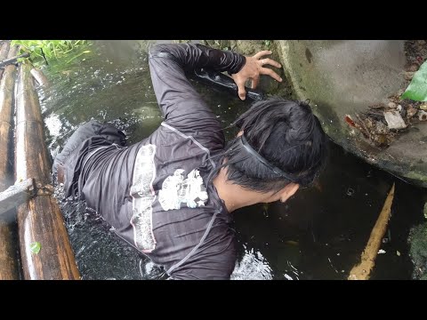 SE02EP110 Part 1 - TIKTIK sa KASULUK SULUKANG LUNGGA ng SAMPALOC Lake | San Pablo City, Laguna