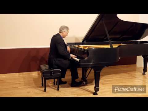 Chopin's "Revolutionary" Etude Op10 No 12 Brian Ganz, pianist