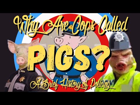 Why Are Cops Called Pigs? A Brief History of Policing