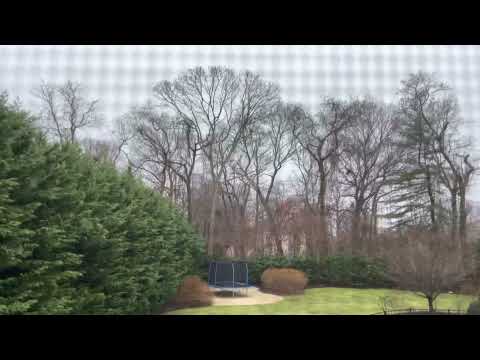 Rain in Smithtown NY - January 1st, 2022 - 7:45AM