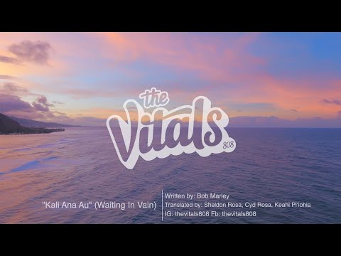 The Vitals 808 - Kali Ana Au (Waiting In Vain) [Official Lyric Video]